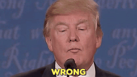 giphy-facebook_s.jpg