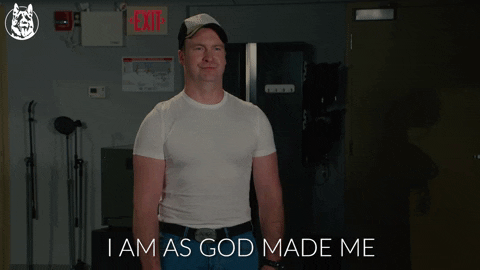 giphy_s.gif