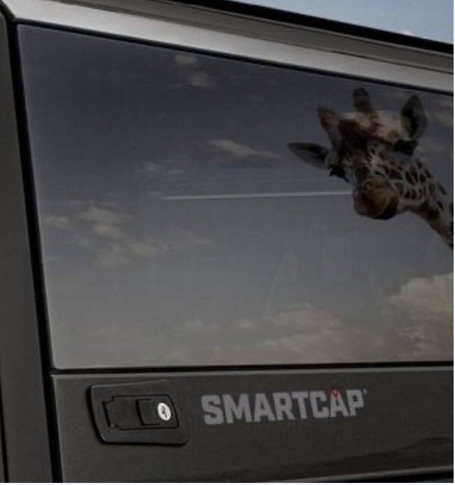 Giraffe.png