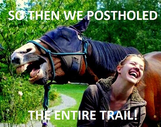 girl-and-horse-laughing-laughed-until-i-was-horse-the-flying-tortoise.jpg