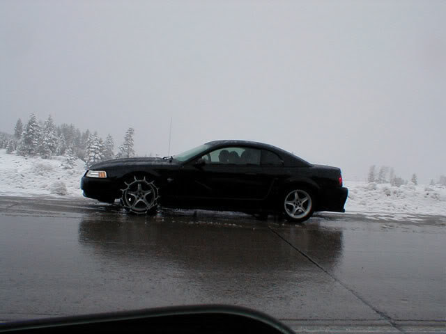 girlmustang_f020be704d50ab2eb6184837a92ee585a9bcfc22.jpg