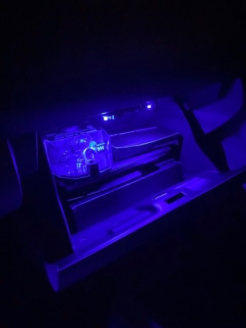 glovebox2.jpg