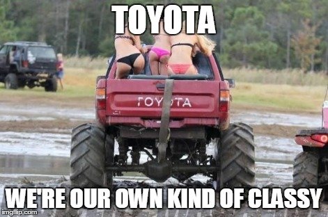 gnfk6.jpg
