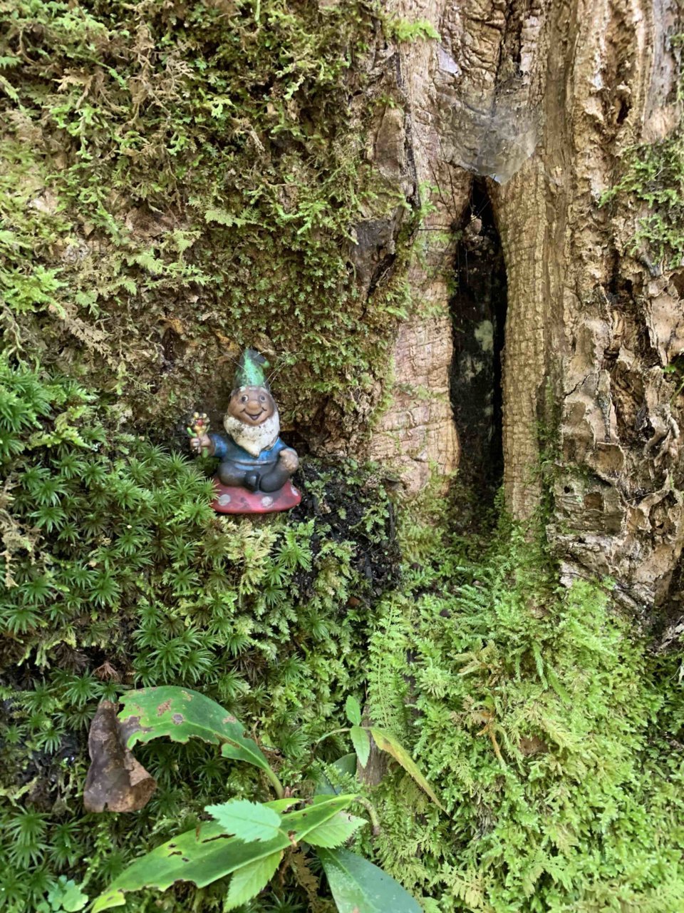Gnome.jpg