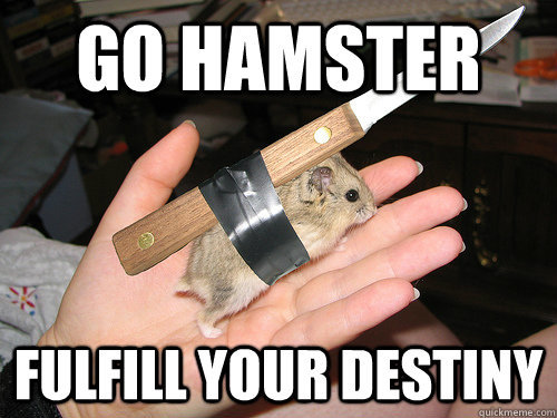 Go-Hamster-Fulfill-Your-Destiny-Funny-Meme-Image.jpg