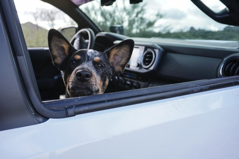 GO OFFROADING DAY!-11.jpg