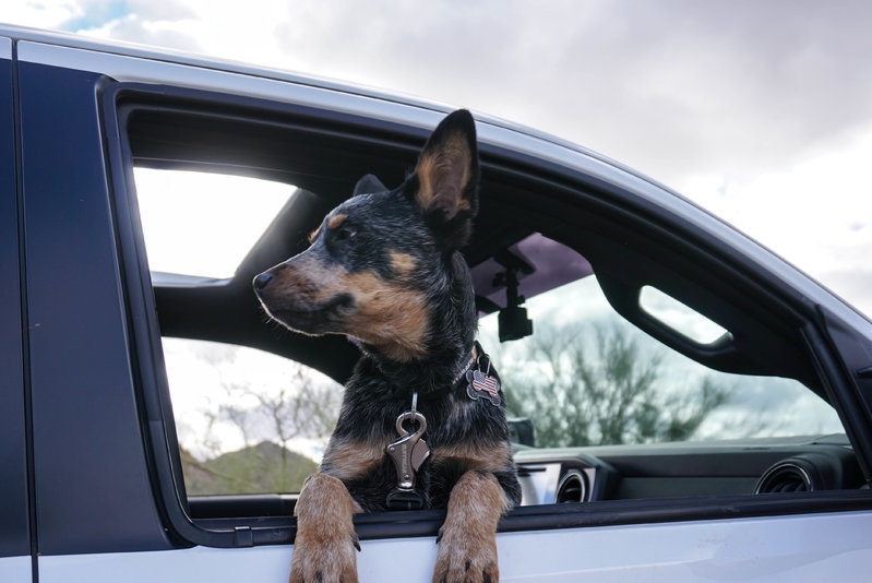 GO OFFROADING DAY!-12.jpg