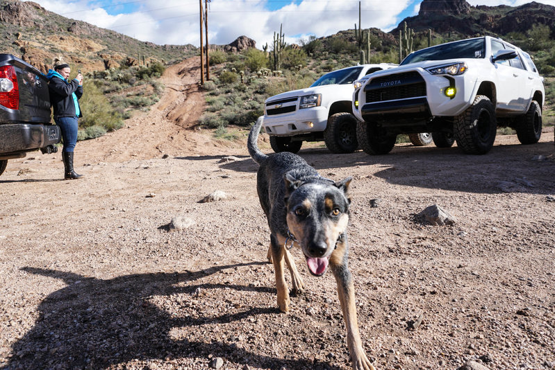 GO OFFROADING DAY!-31.jpg