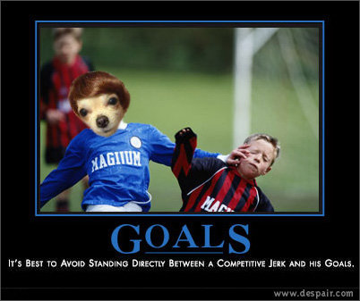 goals.jpg