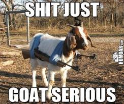 Goat Serious.jpg