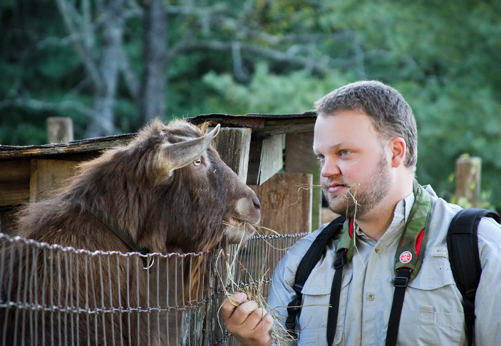 GOAT_2cc7e40f48c5a926899b99d25b0507881bcf7a42.jpg