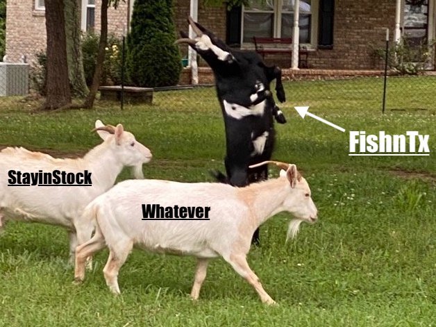 GoatSmash.jpg