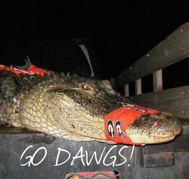 GoDawgs_1862d3c7de08897c624ad81b10a62efb6a3d132e.jpg