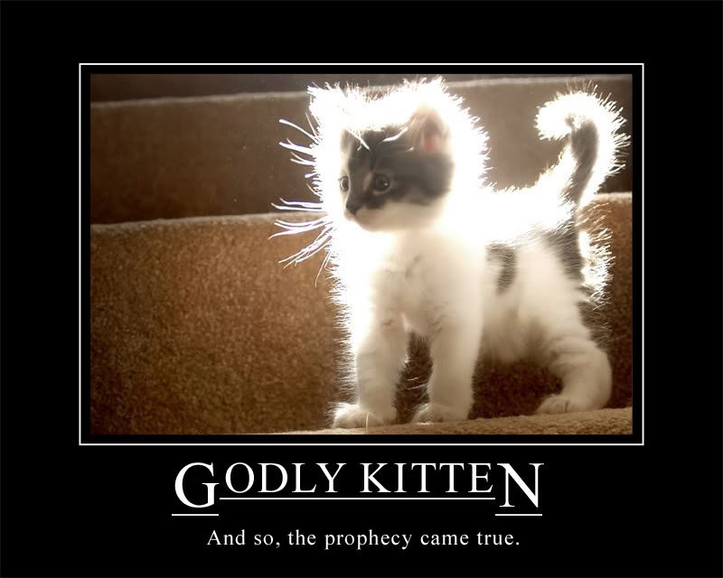 godly_kitten_-_and_so_the_prophecy__24bc8a8f08034978156427d1d49f2f9927520c8c.jpg