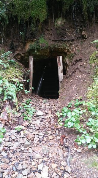Gold Mine.jpg