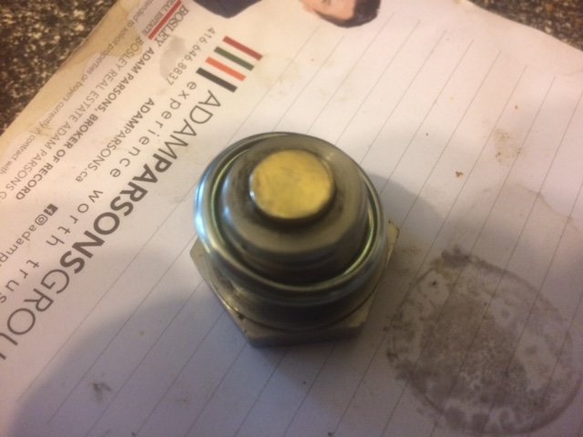 gold plug.jpg