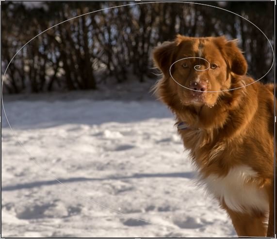 GoldenRatio.jpg