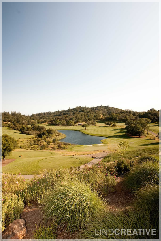 golf_club_91c35a1a489d22e452129336eb682410d895c1e0.jpg
