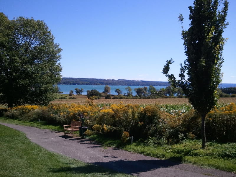 Golfviewoflake_8849e3dd9bfc53d95d59b4a099d0eda8298f26c4.jpg