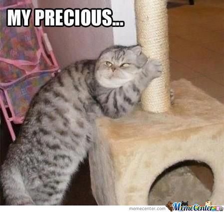 gollum cat.jpg