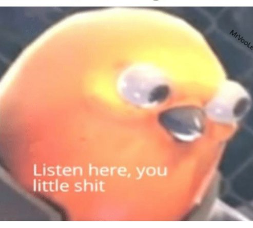 gonna-tell-my-kid-mrvoole-listen-here-you-little-shit-65899681.jpg