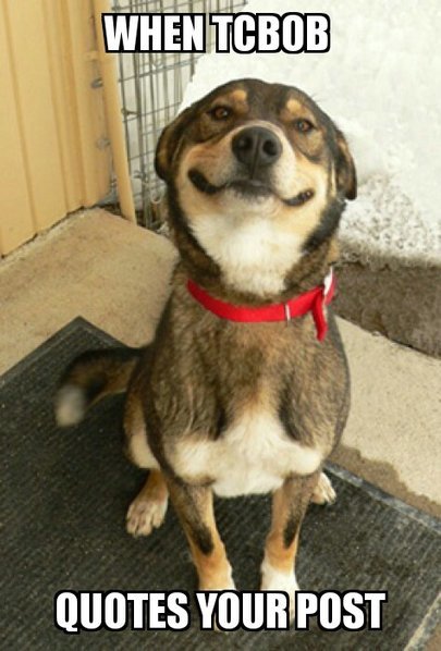Good Dog Greg 27052016225936.jpg