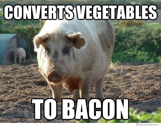 good-guy-pig.jpg