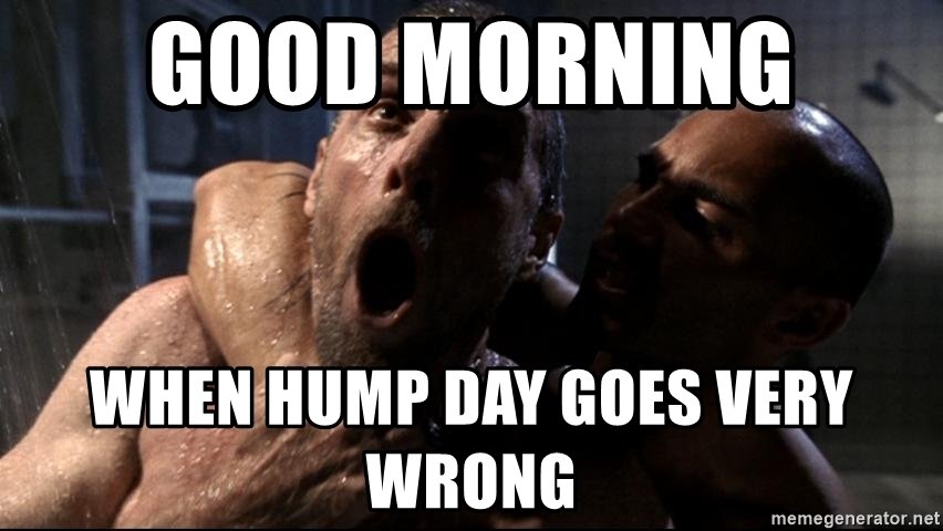 good-morning-when-hump-day-goes-very-wrong.jpg