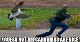 goose.jpg