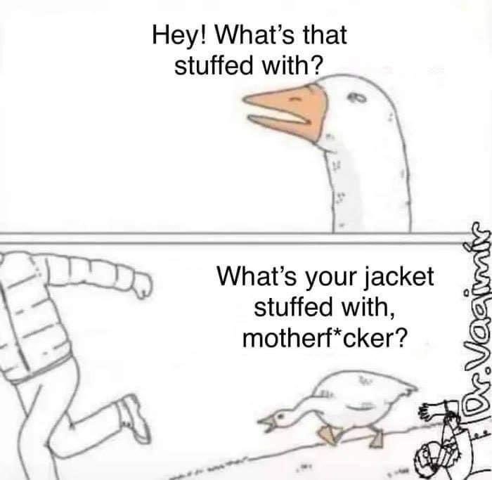 goose.jpg