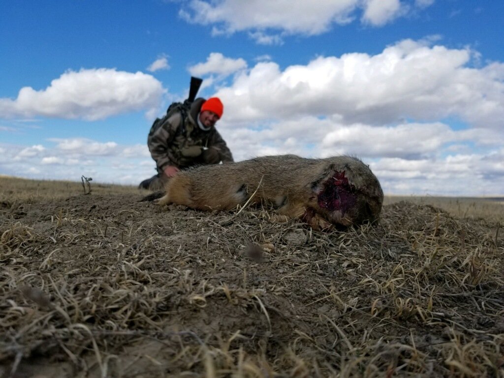 Gopher.jpg