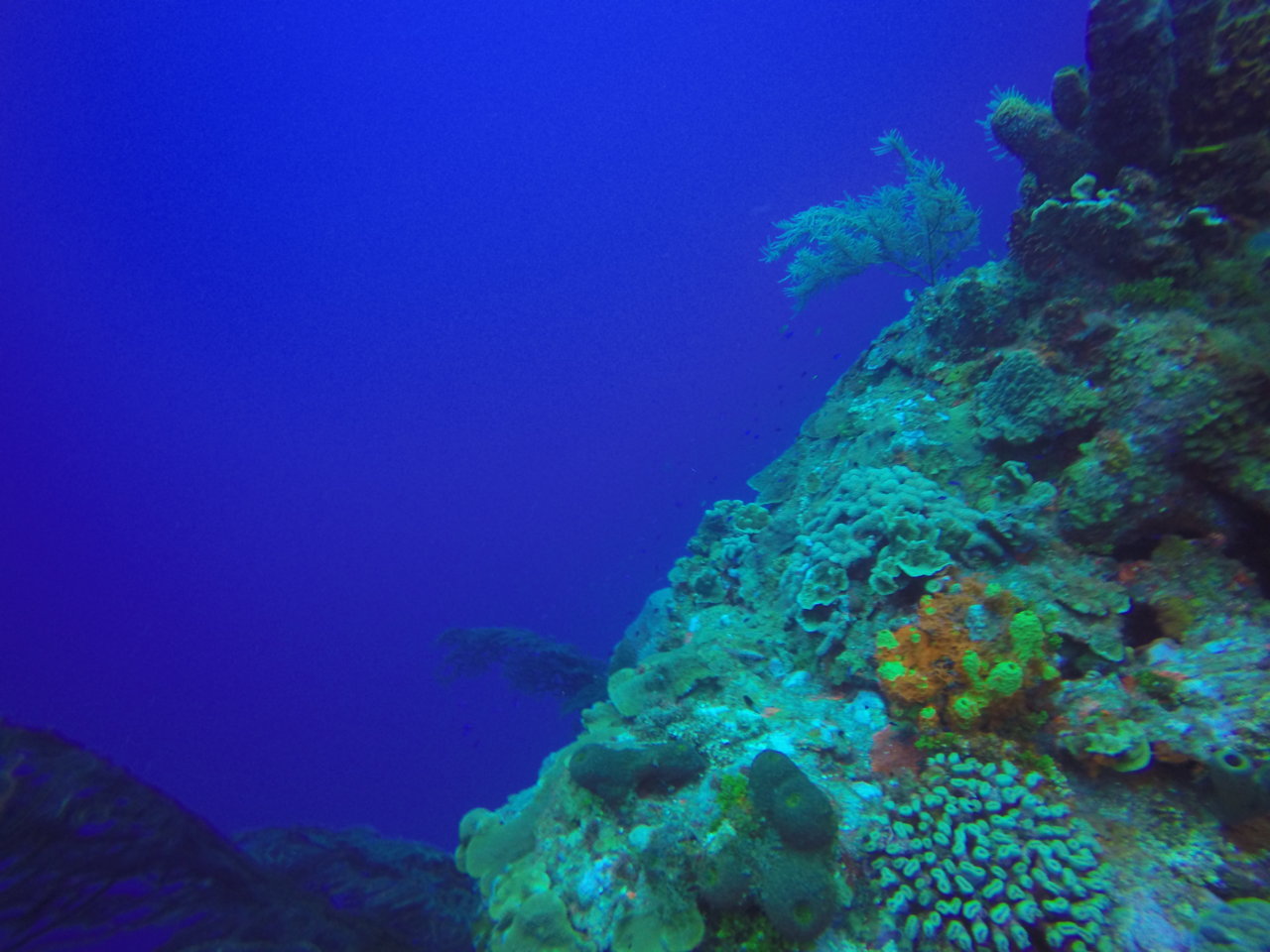 GOPR0369_1500699967173_high.jpg