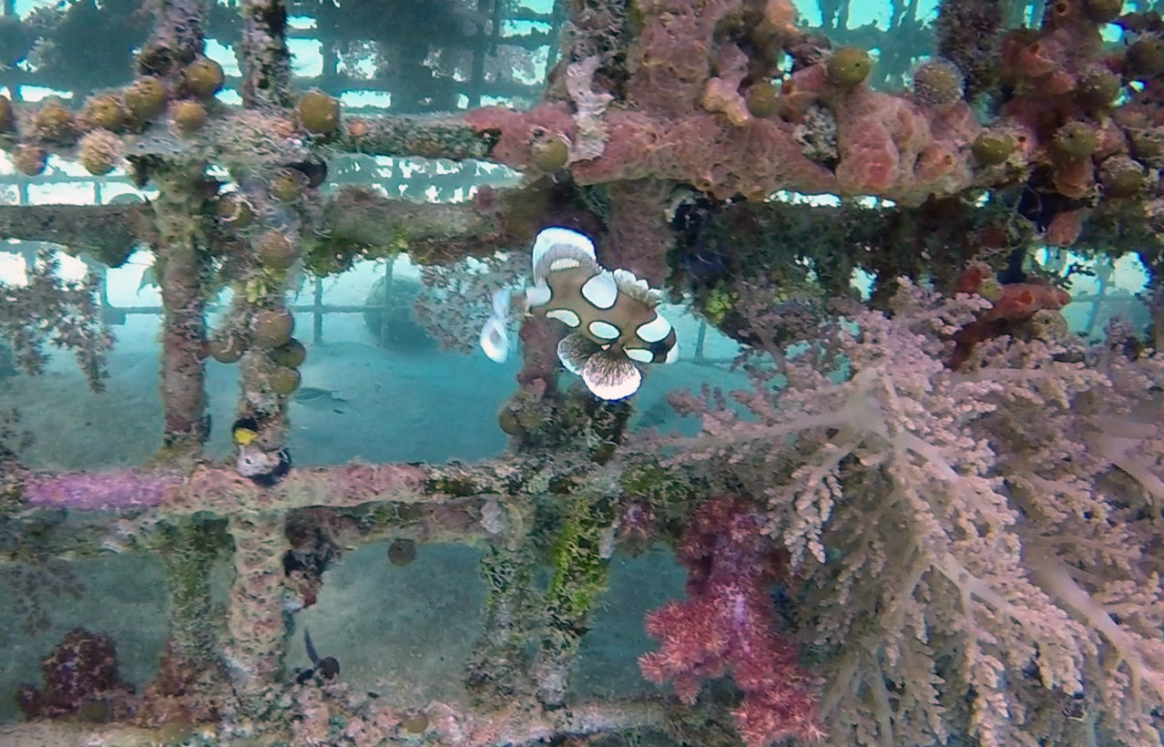 GOPR0988-1 edit.jpg