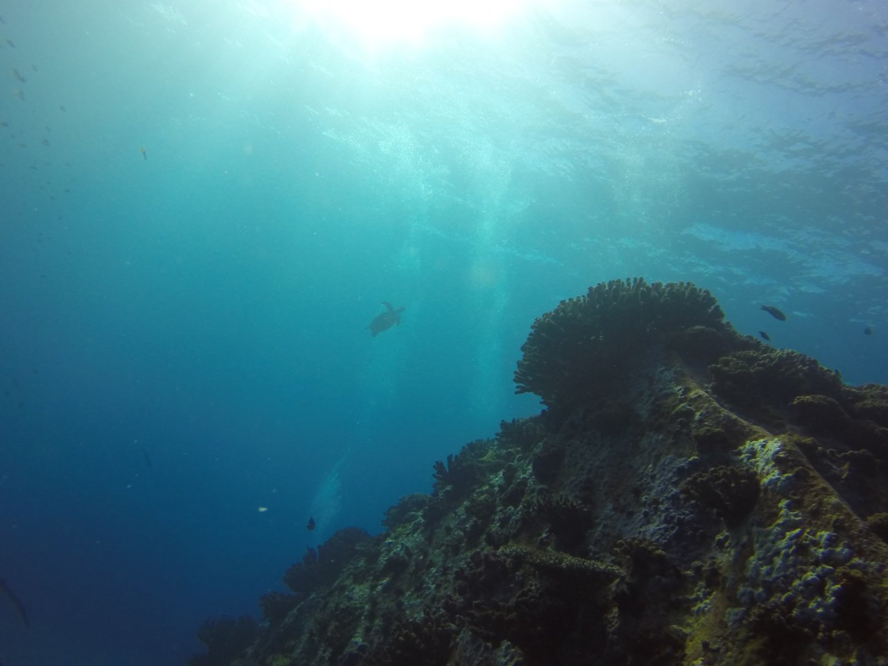 GOPR2287.jpg