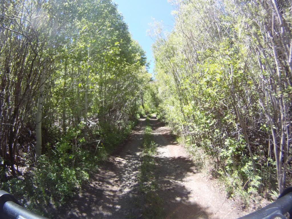GOPR2597_zps7ddc0706_da7f693b44b8f9fc56192976f5a5e57a6da4a303.jpg
