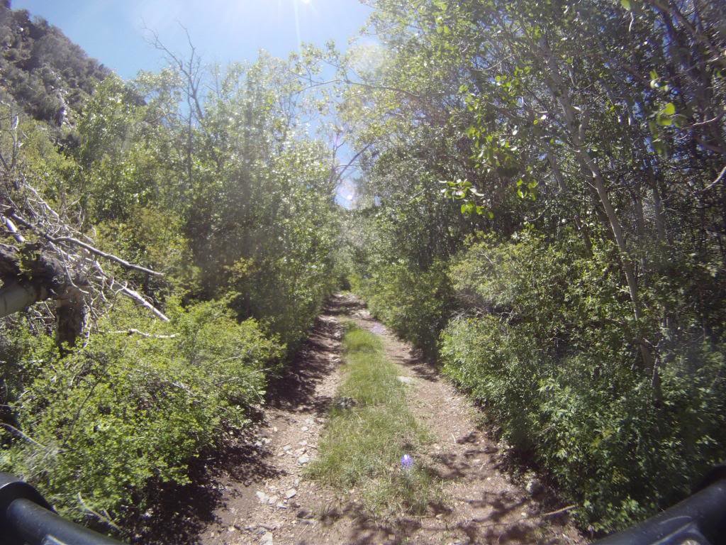 GOPR2610_zpsc3f22282_68b0b82b35569c10cb1a3d9091193b2bda0540e0.jpg