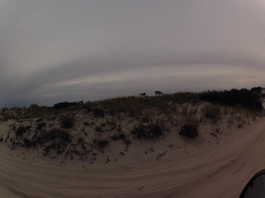 gopro10-28-12728_422b974f2b90fad8952df75bf681164688a90b9d.jpg