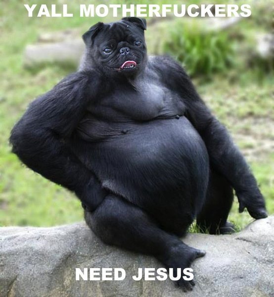 Gorilla-Pug-Thinks-You-Need-Jesus.jpg