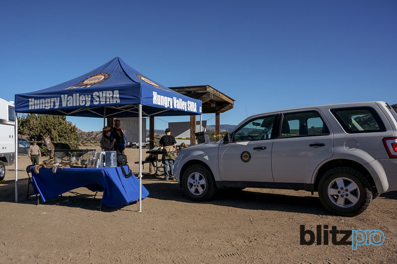 gorman15_1787bb5dde40a95ecae6f70ff004073738e0f141.jpg