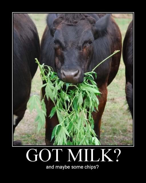 gotmilk_9594c5e1266653fe52f45b159a328fdce9085731.jpg