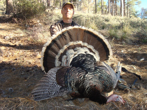 Goulds_Turkey_P_Feldt_web.jpg