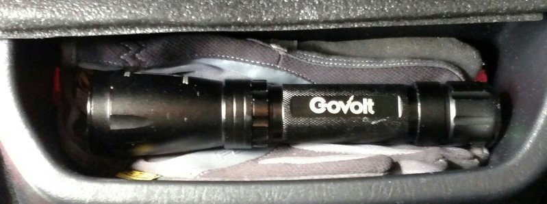 Govolt in 3rd Gen.jpg