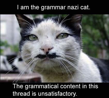 GrammarNazi_10b21b4300d98e8bab0e5bc6d443afb4831de1f6.jpg