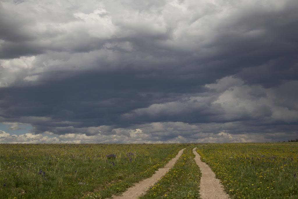gravellyroad_zpsd38eacff_d947bab097f0d83a141cba0a16815c2c0c65566e.jpg