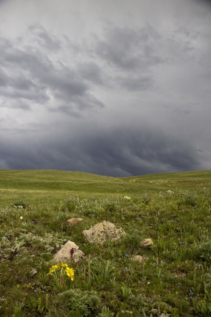 gravellystorm1_zps34a17023_eea4431bde11c7cbd57334a294e1f8ecd5772722.jpg