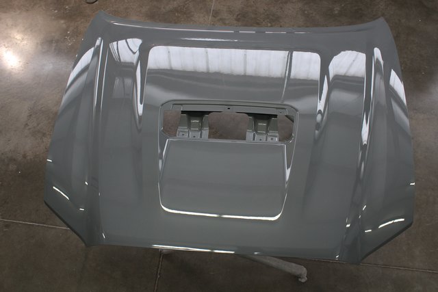 Gray Hood.jpg