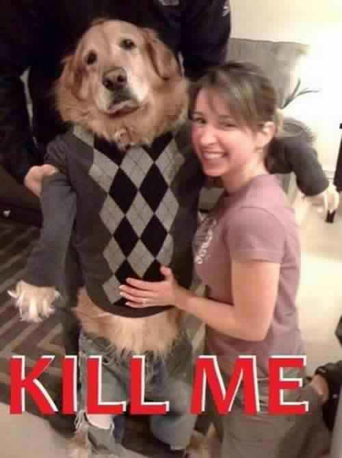 great-funny-photos-5_4b7583ee92962fcb66a6608d12e9653cee2cdfbd.jpg