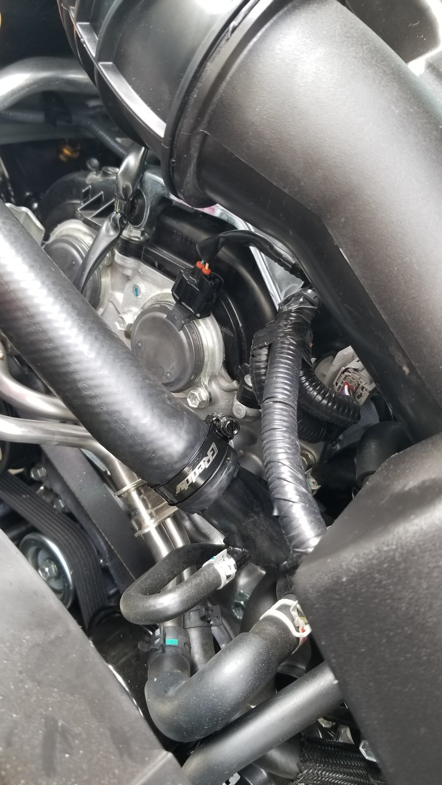 GREDDY 2.jpg
