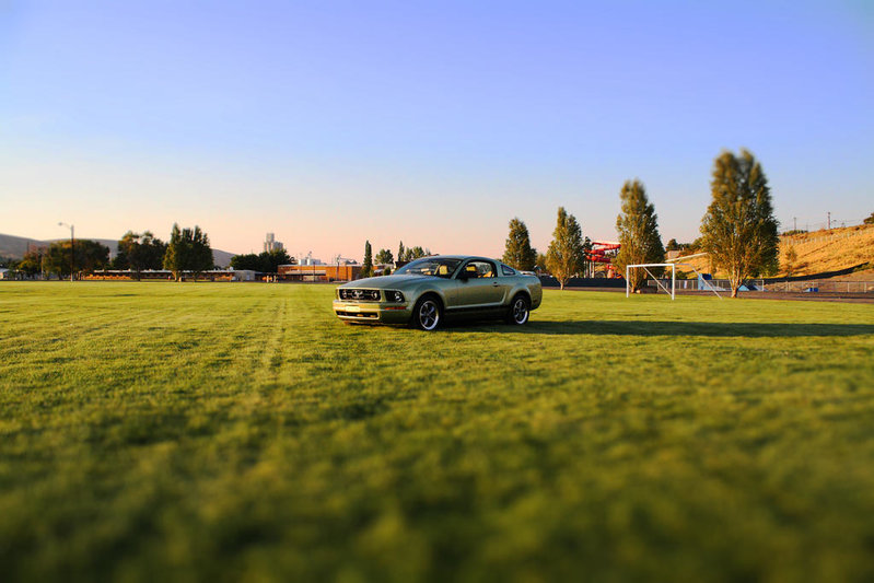 green_mustang_by_gograffe-d304209.jpg