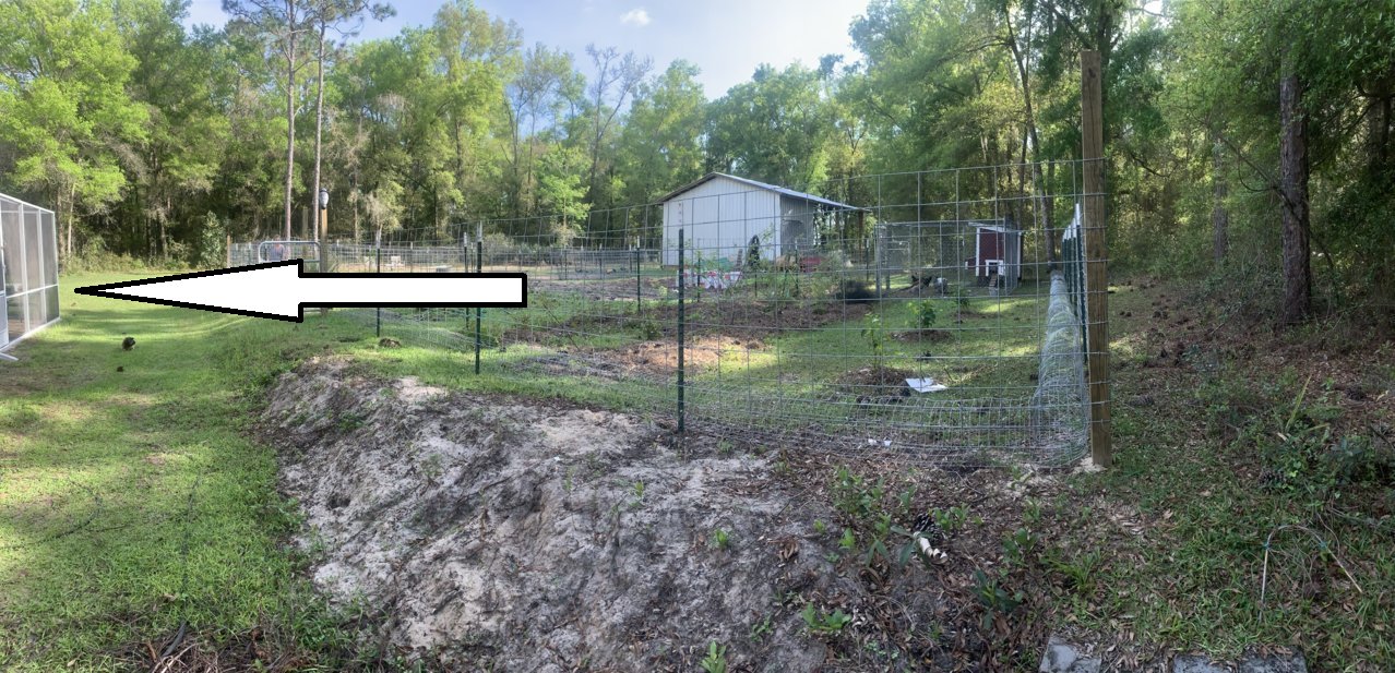 greenhouse.jpg